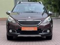 Daumennagel 39 - Peugeot 2008 Allure  Standheizung PDC