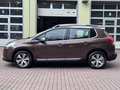 Daumennagel 9 - Peugeot 2008 Allure  Standheizung PDC