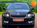 Daumennagel 2 - Skoda Octavia Ambition  Xenon PDC SHZ