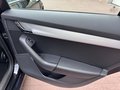 Daumennagel 19 - Skoda Octavia Ambition  Xenon PDC SHZ