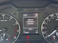Daumennagel 51 - Skoda Octavia Ambition  Xenon PDC SHZ