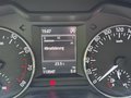 Daumennagel 52 - Skoda Octavia Ambition  Xenon PDC SHZ