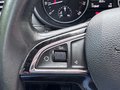 Daumennagel 24 - Skoda Octavia Ambition  Xenon PDC SHZ