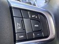 Daumennagel 25 - Land Rover Discovery Sport SE AWD Automatik Panorama Dach