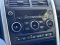 Daumennagel 30 - Land Rover Discovery Sport SE AWD Automatik Panorama Dach