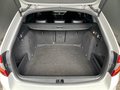 Daumennagel 27 - Skoda Octavia 2.0TDI Combi RS, ACC, LED, R-KAMERA, AHK