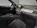 Daumennagel 10 - Mercedes-Benz GLE 350 d 4M, AMG LINE, e.DACH, R-KAM, DISTRONIC