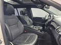 Daumennagel 10 - Mercedes-Benz GLS 350 d 4M, AMG LINE, PANO, 360°,2x TV,7 SITZE