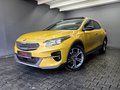 Daumennagel 1 - Kia XCeed LAUNCH EDITION, PANO, AUTOM, ACC, R-KAM