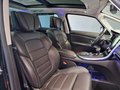 Daumennagel 10 - Renault Espace V Initiale Paris,7 SITZER, HUD, PANO,2xTV