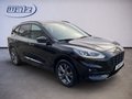 Daumennagel 2 - Ford Kuga Plug-In Hybrid ST-Line +Pano+Winterpaket