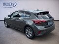Daumennagel 4 - Ford Focus Titanium Edition +LED+WINTERPAKET+