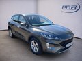 Daumennagel 2 - Ford Kuga Plug-In Hybrid Cool & Connect PHEV