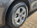 Daumennagel 6 - Ford Kuga Plug-In Hybrid Cool & Connect PHEV