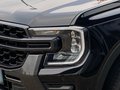 Daumennagel 5 - Ford Ranger Wildtrak +elektr. Rollo+B&O+AHK