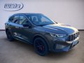 Daumennagel 2 - Ford Kuga FHEV ST-Line X MATRIX-LED+Black Package+Winterpaket+