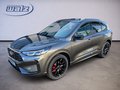 Daumennagel 1 - Ford Kuga FHEV ST-Line X MATRIX-LED+Black Package+Winterpaket+