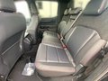 Daumennagel 10 - Ford Ranger Wildtrak Doppelkabine +elektr.-Rollo+B&O+AHK