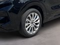 Daumennagel 6 - Ford Tourneo Custom Bus 320 L1 Titanium FWD