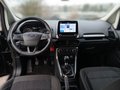 Daumennagel 10 - Ford EcoSport Cool&Connect 1.0 Ecoboost Winterpaket