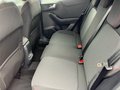 Daumennagel 11 - Ford Puma ST-Line 1.0i 155PS Automatik, Winterpaket