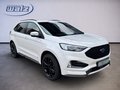 Daumennagel 2 - Ford Edge ST-Line 4x4 +AHK+ACC+RFK+LED+
