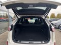 Daumennagel 12 - Ford Edge ST-Line 4x4 +AHK+ACC+RFK+LED+