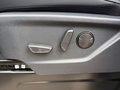 Daumennagel 14 - Ford Tourneo Custom L1 Active +PANO+MATRIX+AHK+