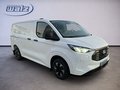 Daumennagel 2 - Ford Transit Custom Kasten 320 L1 Trend FWD Plug-in Hybrid
