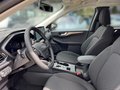 Daumennagel 7 - Ford Kuga Hybrid Titanium +LED+Navi+Kamera+PDC+Winter-P.+