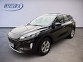 Daumennagel 1 - Ford Kuga Plug-In Hybrid Cool & Connect +1.HAND+AHK+WINTERPAKET+