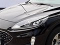 Daumennagel 5 - Ford Kuga Plug-In Hybrid Cool & Connect +1.HAND+AHK+WINTERPAKET+
