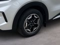 Daumennagel 6 - Ford Tourneo Custom Bus 320 L1 Active FWD 170PS TDCi Automatik 5 Jahre Garantie
