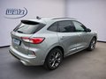 Daumennagel 3 - Ford Kuga Plug-In Hybrid ST-Line X PHEV Panodach,AHK,LED, 225PS Systemleistung und vieles mehr