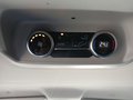 Daumennagel 15 - Ford Tourneo Custom Bus 320 L1 Titanium 8 Sitzer AHK