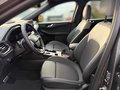Daumennagel 7 - Ford Kuga Hybrid Sound Edition +VOLLAUSSTATTUNG+