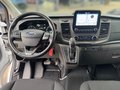 Daumennagel 10 - Ford Transit Custom Kombi 6-Sitzer +Dachzelt+Markise+Automatik+ perfekt zum Wohnmobilausbau