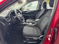 Daumennagel 7 - Ford Kuga Plug-In Hybrid Cool & Connect +1.HAND+WINTERPAKET+
