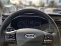 Daumennagel 8 - Ford Transit Pritsche 350 L3 DoKa Trend+KAMERA+AHK