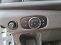 Daumennagel 16 - Ford Transit Pritsche 350 L3 DoKa Trend+KAMERA+AHK