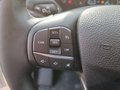 Daumennagel 17 - Ford Transit Pritsche 350 L3 DoKa Trend+KAMERA+AHK