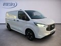 Daumennagel 2 - Ford Transit Custom Kasten 320 L1 Trend FWD Plug-in Hybrid