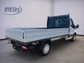 Daumennagel 3 - Ford Transit Pritsche 350 L3 Einzelkabine Trend RFK,AHK