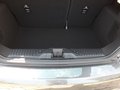 Daumennagel 12 - Ford Fiesta ST-Line +Winterpaket+LED+Navi+