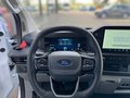 Daumennagel 8 - Ford Transit Custom Kasten 320 L1 Trend PHEV
