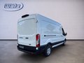 Daumennagel 3 - Ford Transit Kasten E 350 L3 Trend