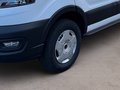 Daumennagel 6 - Ford Transit Kasten E 350 L3 Trend