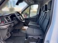 Daumennagel 7 - Ford Transit Kasten E 350 L3 Trend