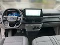 Daumennagel 10 - Ford Transit Custom Kombi 320 L2 Trend 9-Sitzer 2.0 TDCi Automatik