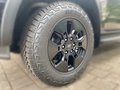 Daumennagel 6 - Ford Ranger PHEV Limited Doppelkabine +GJR+Hardtop+AHK